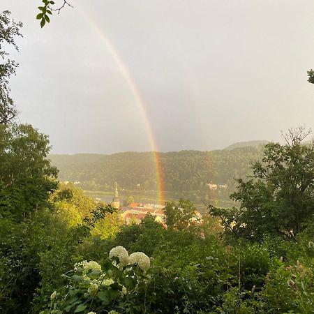Villa Sonnenburg Bad Schandau Dış mekan fotoğraf