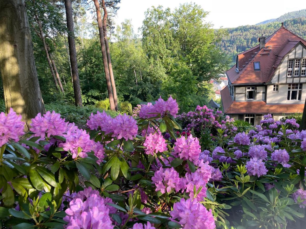 Villa Sonnenburg Bad Schandau Dış mekan fotoğraf
