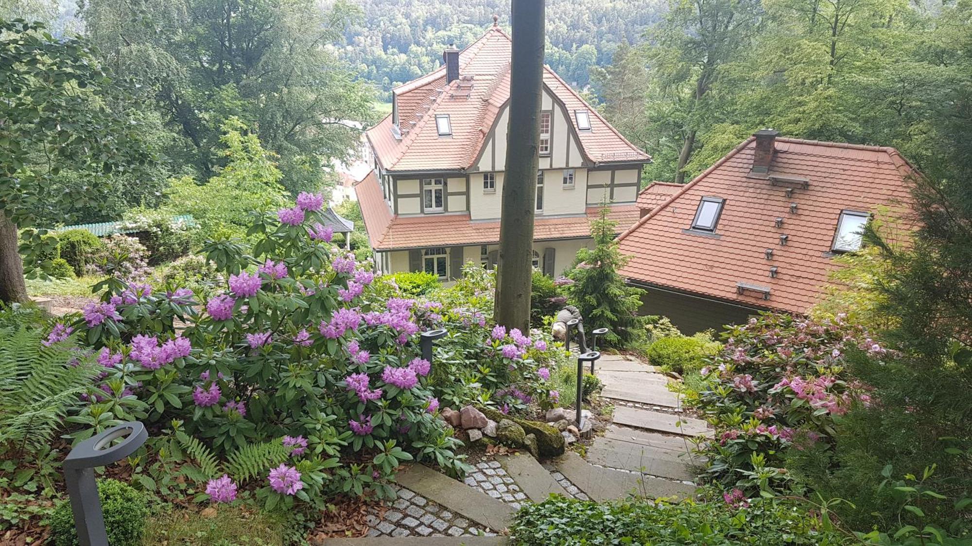 Villa Sonnenburg Bad Schandau Dış mekan fotoğraf